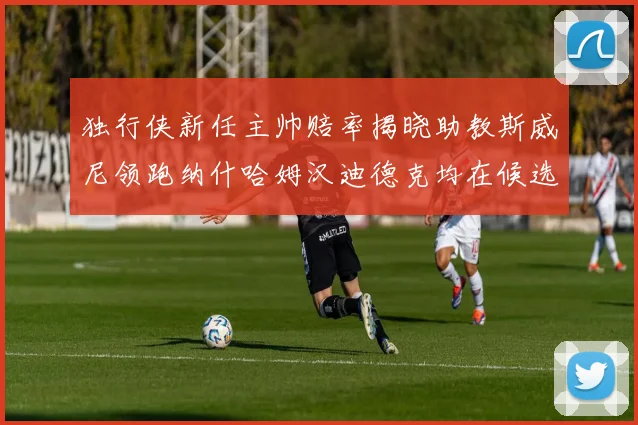 独行侠新任主帅赔率揭晓助教斯威尼领跑纳什哈姆汉迪德克均在候选之中